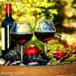 Cách phân biệt rượu vang Chile nhập khẩu