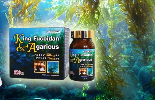 Fucoidan – Vũ khí mới trong cuộc chiến chống Ung thư