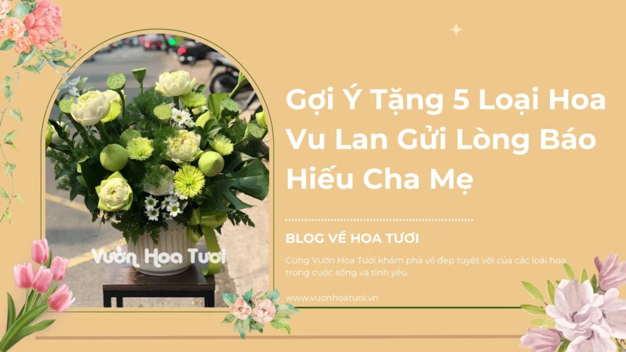 Gợi Ý 5 Loại Hoa Vu Lan Gửi Lòng Báo Hiếu Cha Mẹ